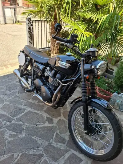 Triumph Scrambler (2006 - 17) usata