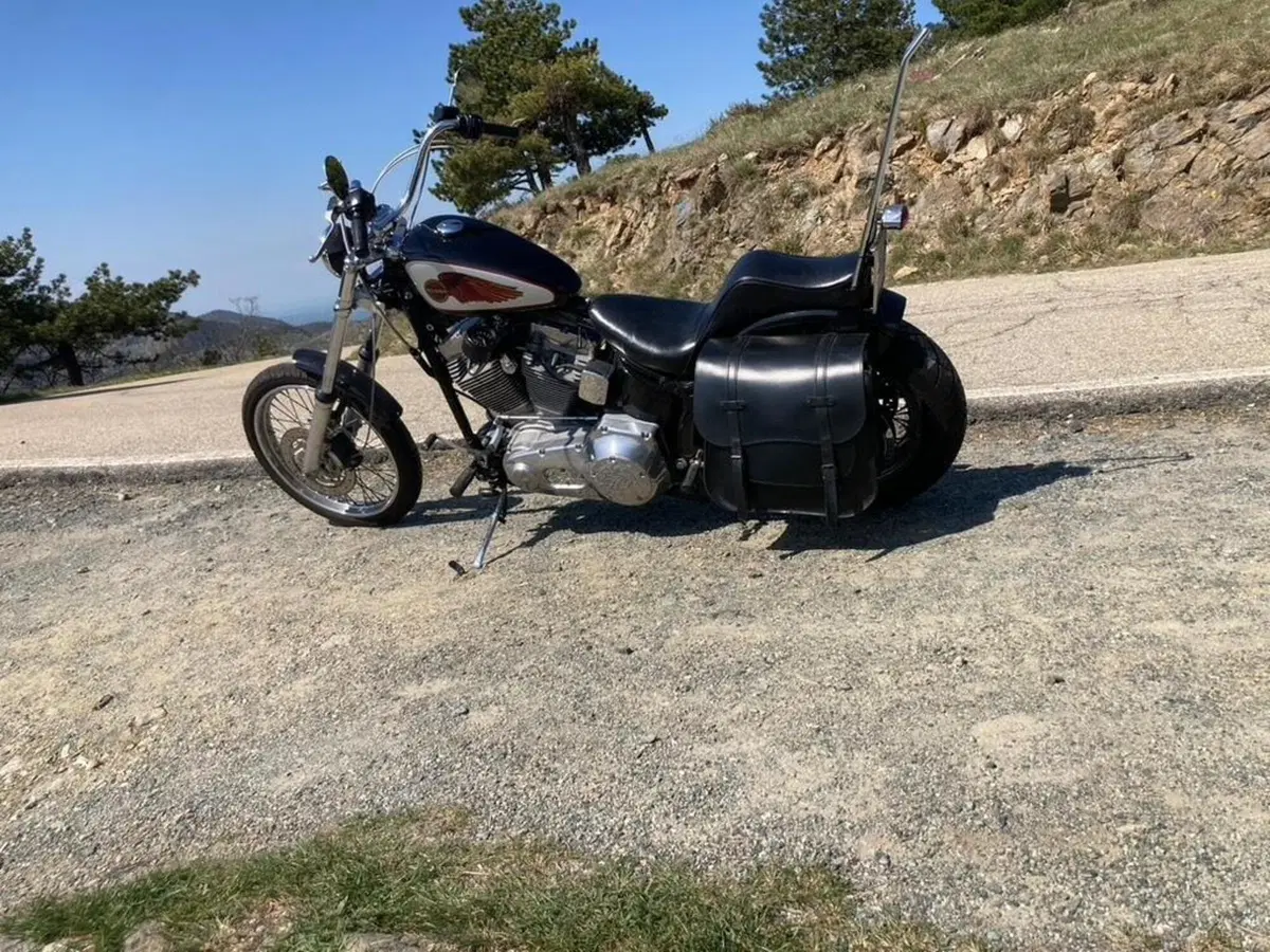 Harley-Davidson 1450 Standard (2002 - 05) - FXSTI (3)