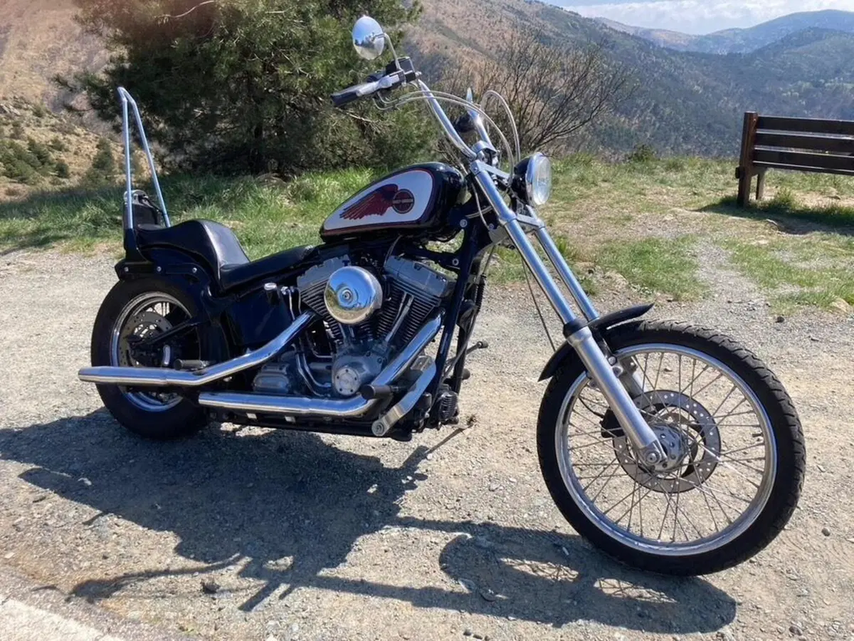 Harley-Davidson 1450 Standard (2002 - 05) - FXSTI (5)