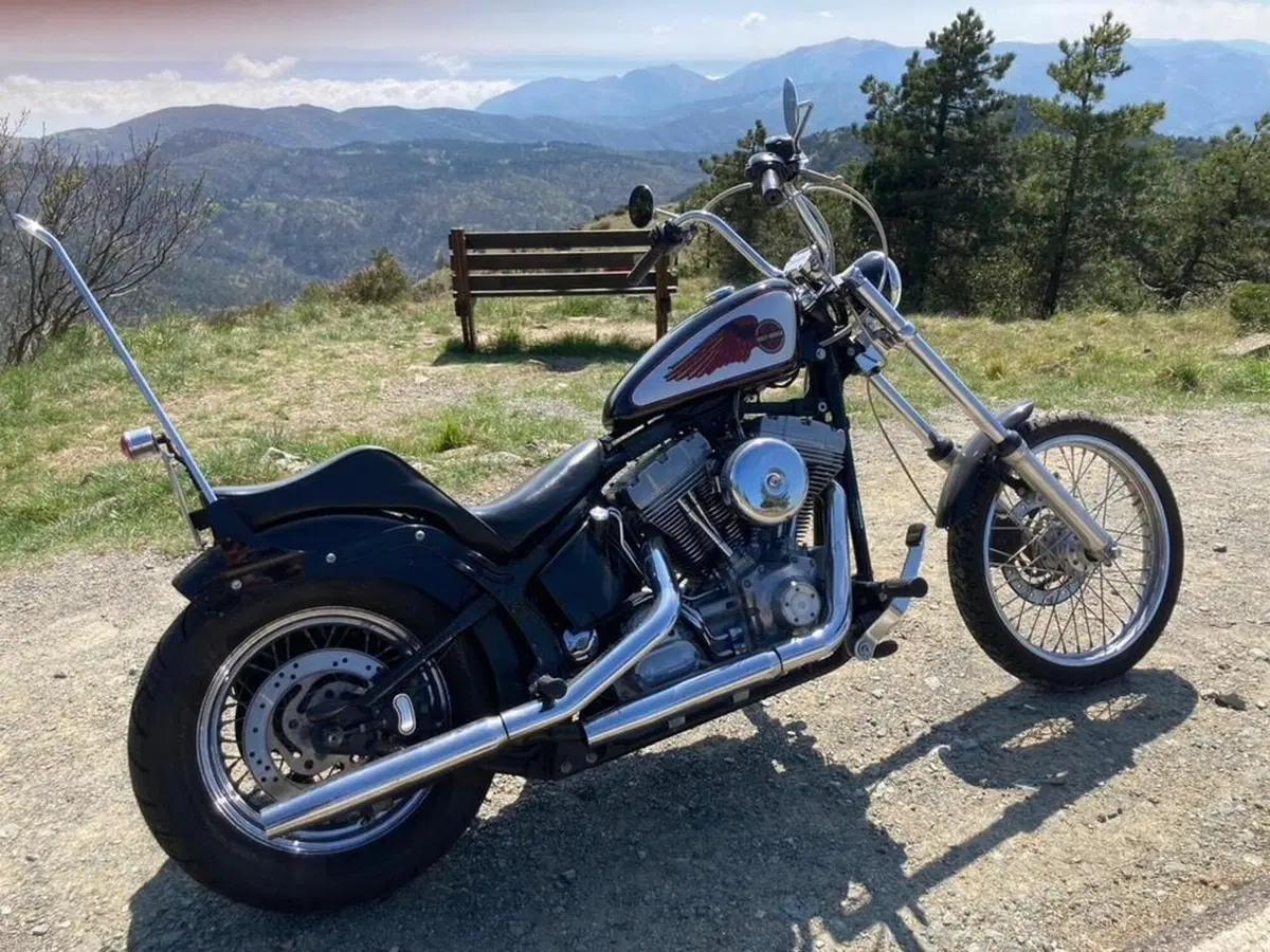 Harley-Davidson 1450 Standard (2002 - 05) - FXSTI (2)