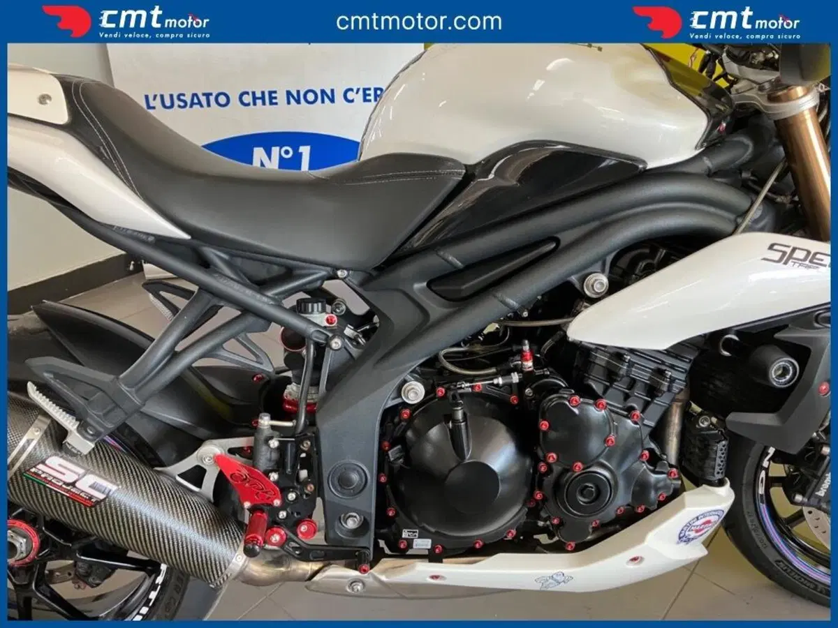 Triumph Speed Triple 1050 (2011 - 13) (10)