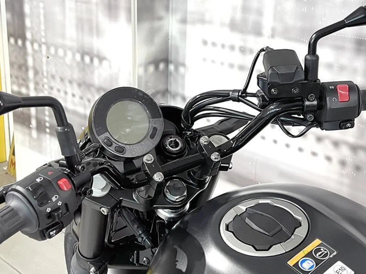 Kawasaki Eliminator 500 SE (2024 - 26) (5)
