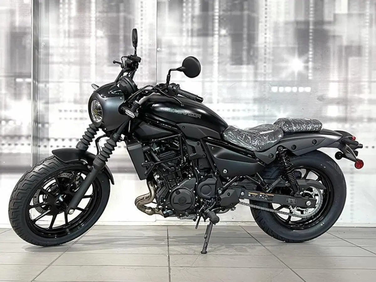 Kawasaki Eliminator 500 SE (2024 - 26) (6)
