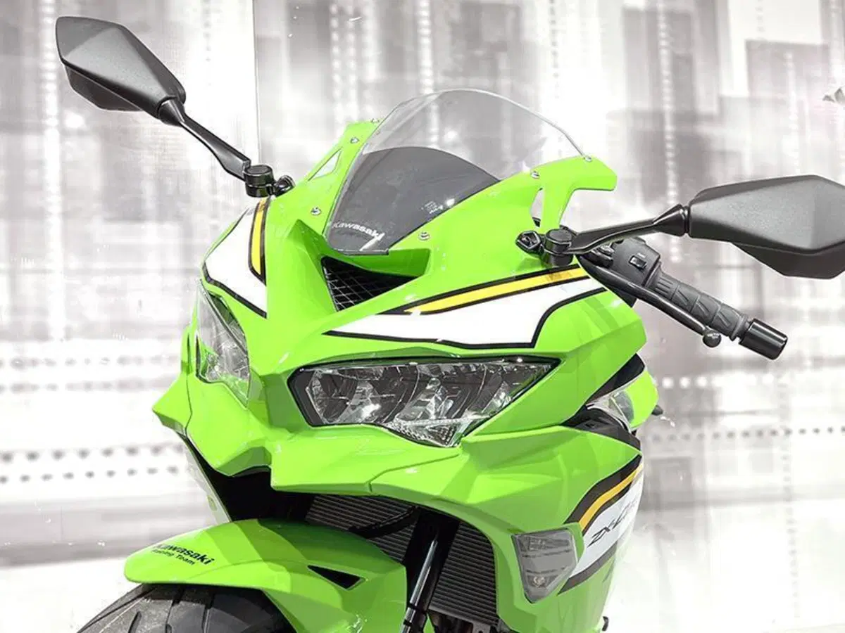 Kawasaki Ninja ZX-4RR (2024 - 26) (9)