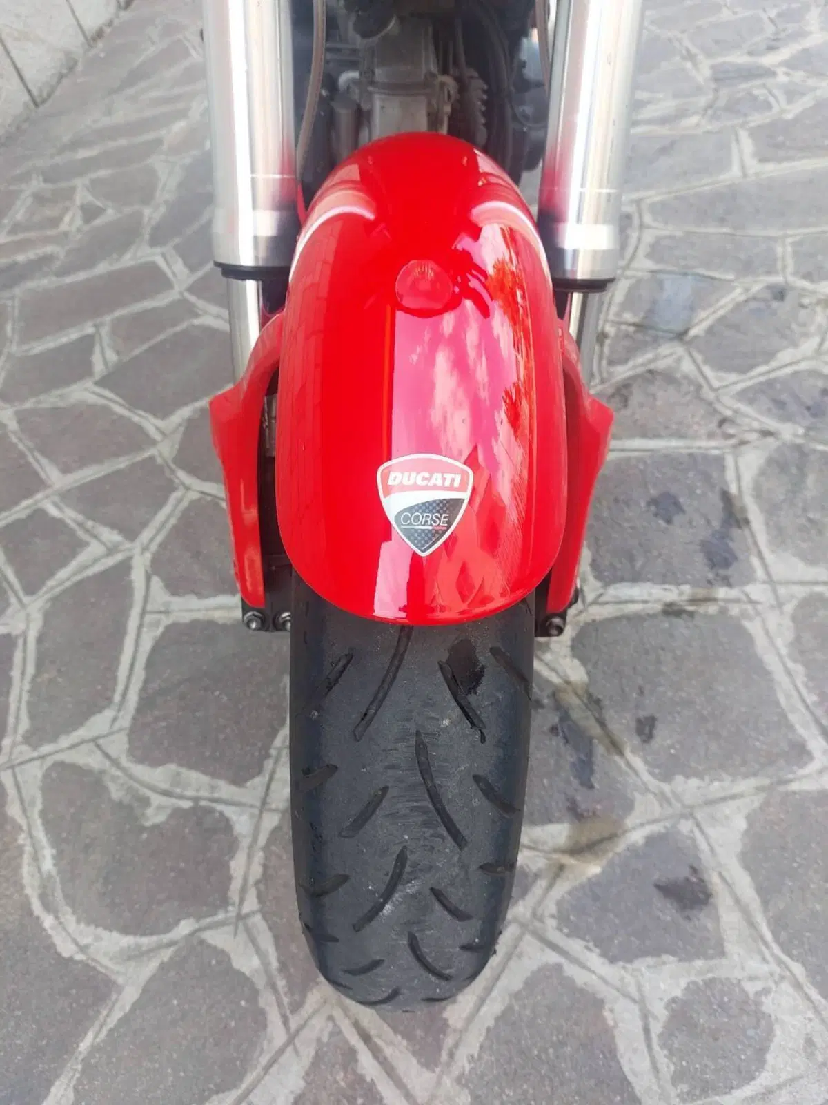 Ducati Monster 695 (2006 - 08) (11)