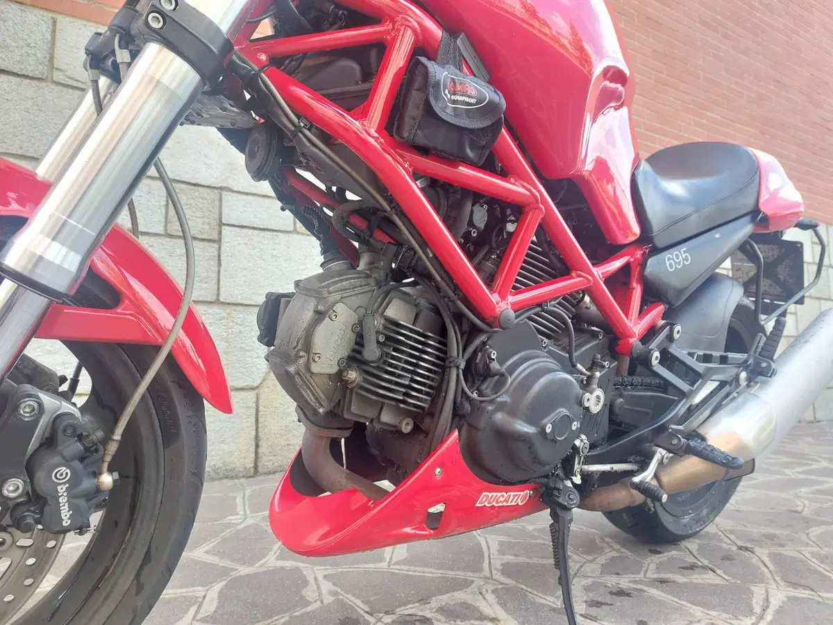 Ducati Monster 695 (2006 - 08) (12)