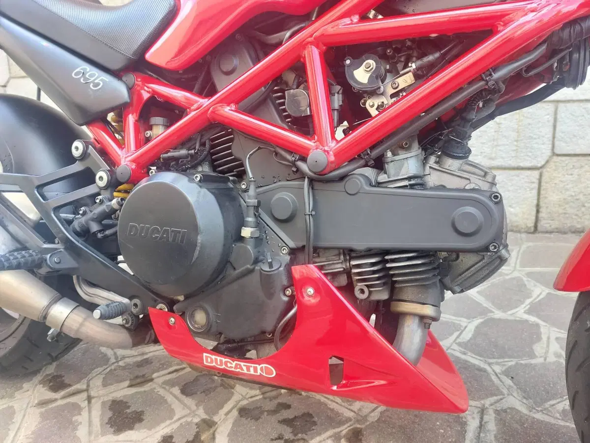 Ducati Monster 695 (2006 - 08) (15)