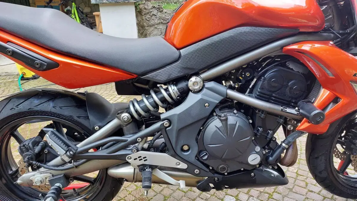 Kawasaki ER-6N (2006 - 09) (4)