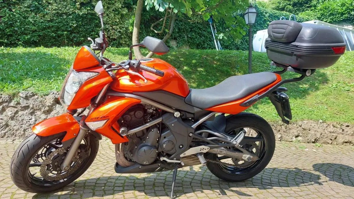 Kawasaki ER-6N (2006 - 09) (7)