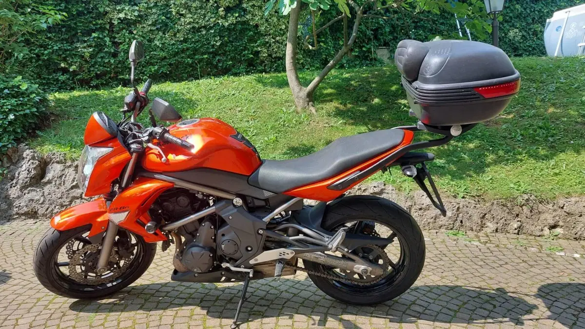Kawasaki ER-6N (2006 - 09) (8)