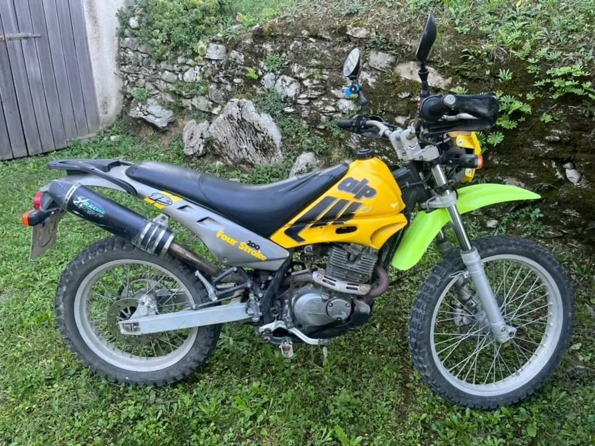 Betamotor Alp 200 4T (1999 - 06) (5)