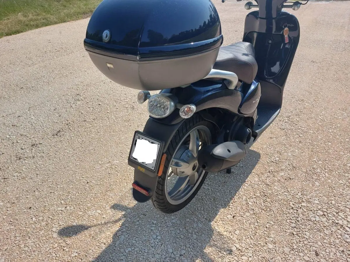 Aprilia Scarabeo 50 4t (2009 - 12) (4)