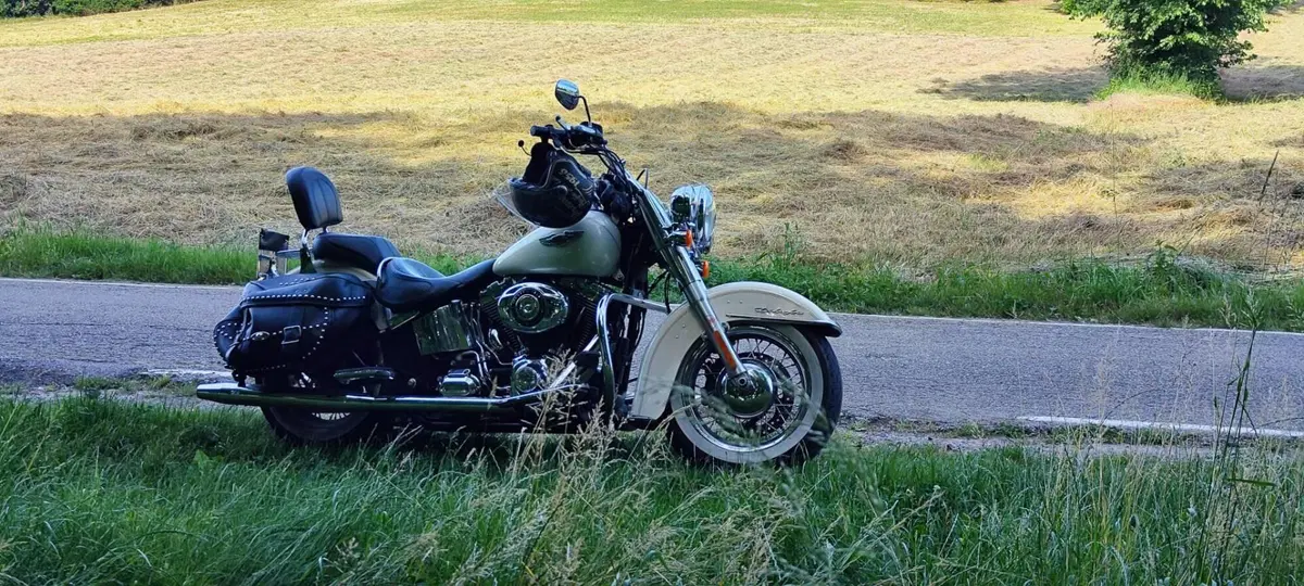 Harley-Davidson 1690 Deluxe ABS (2011 - 16) - FLSTN (9)