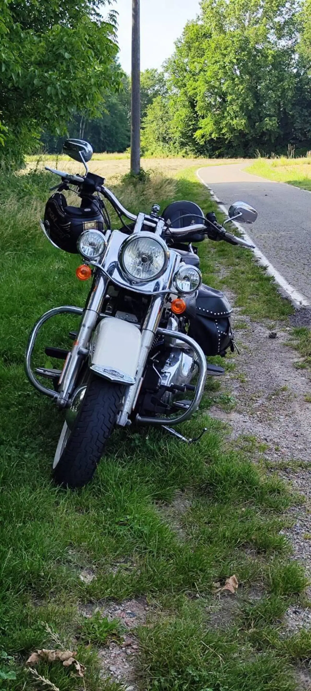 Harley-Davidson 1690 Deluxe ABS (2011 - 16) - FLSTN (10)