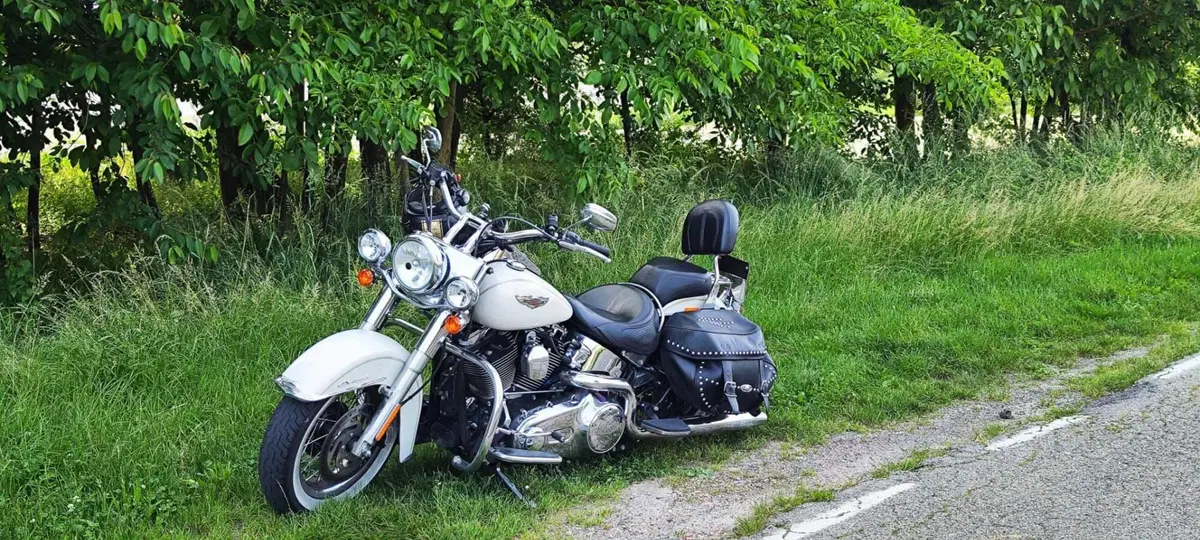 Harley-Davidson 1690 Deluxe ABS (2011 - 16) - FLSTN (11)