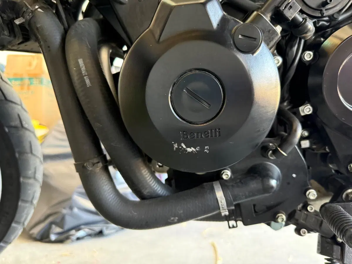 Benelli Leoncino 500 Trail (2021 - 26) (6)