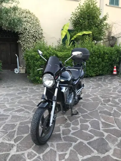 Kawasaki ER-5 500 (2001 - 06) usata
