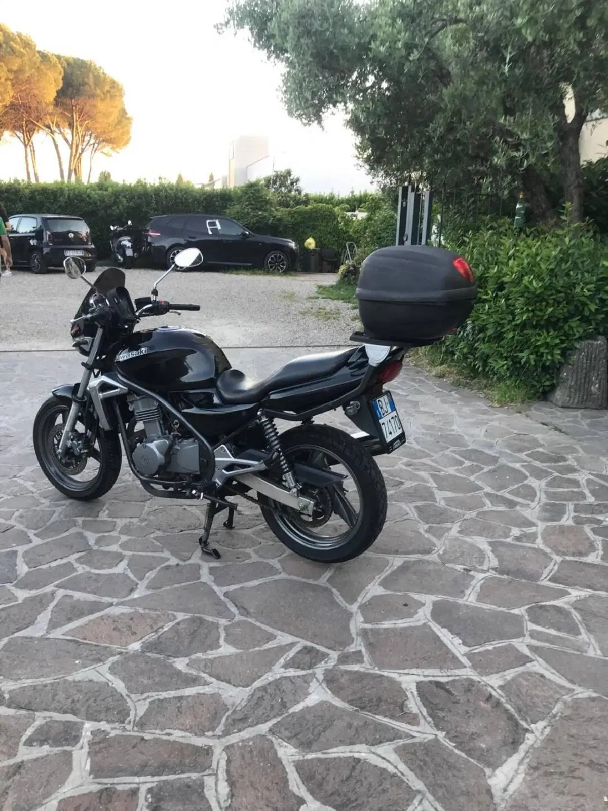 Kawasaki ER-5 500 (2001 - 06) (3)