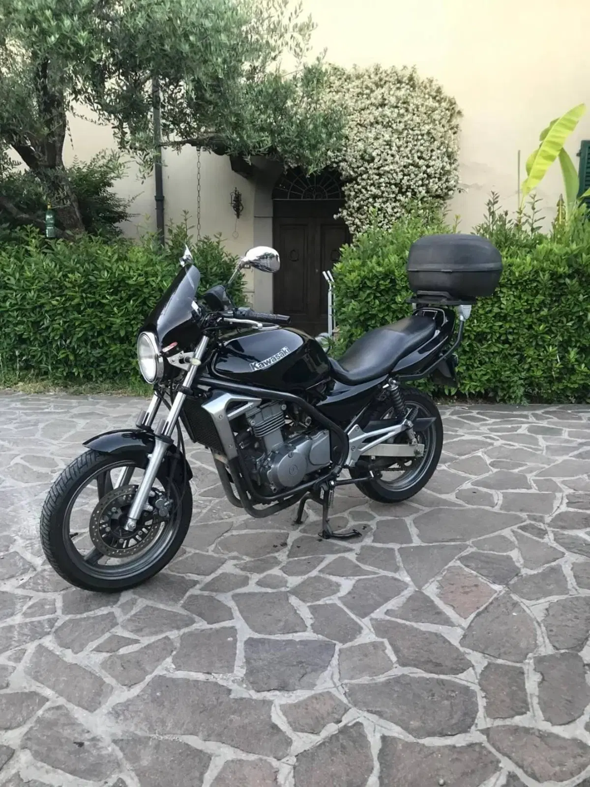 Kawasaki ER-5 500 (2001 - 06) (4)