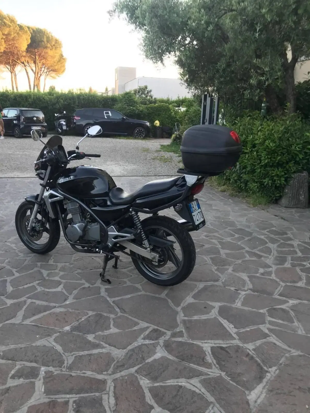 Kawasaki ER-5 500 (2001 - 06) (6)