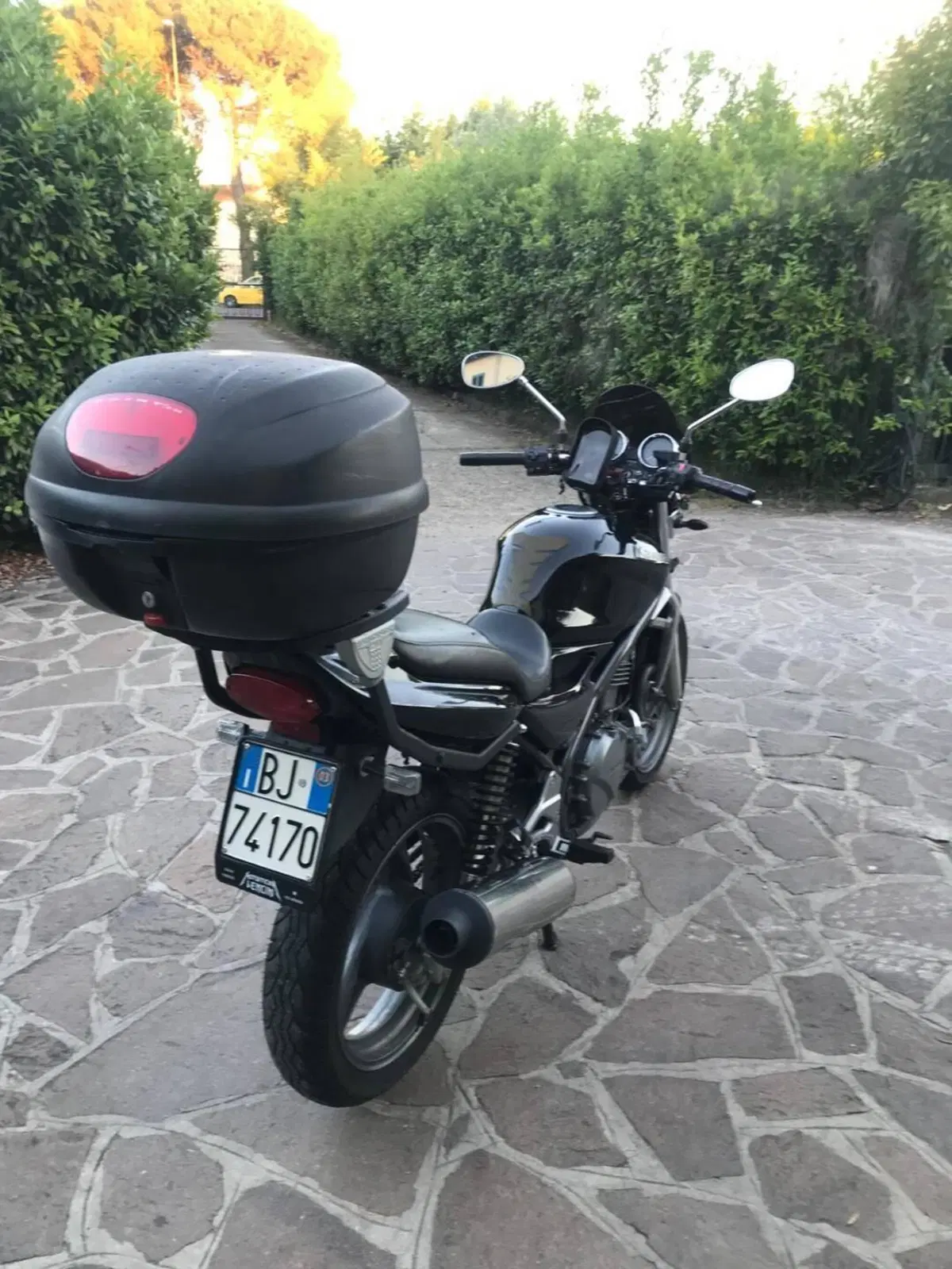 Kawasaki ER-5 500 (2001 - 06) (8)