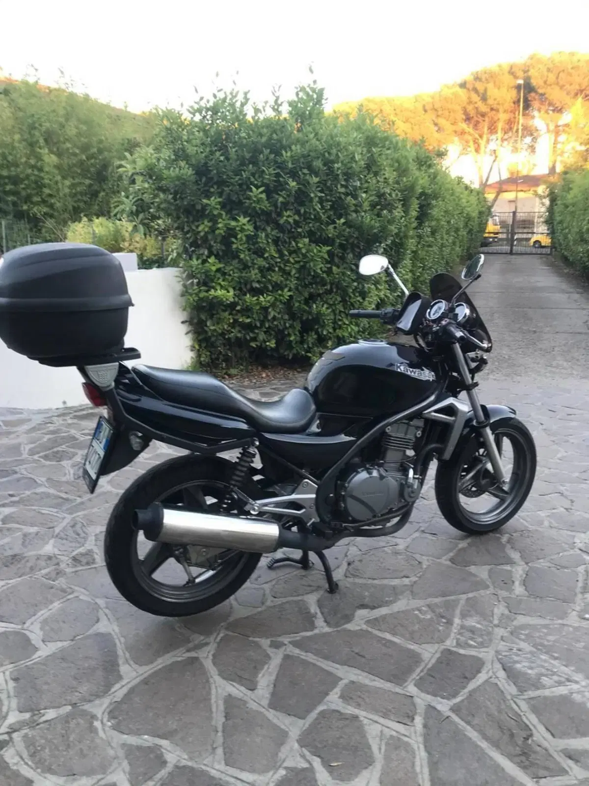 Kawasaki ER-5 500 (2001 - 06) (11)