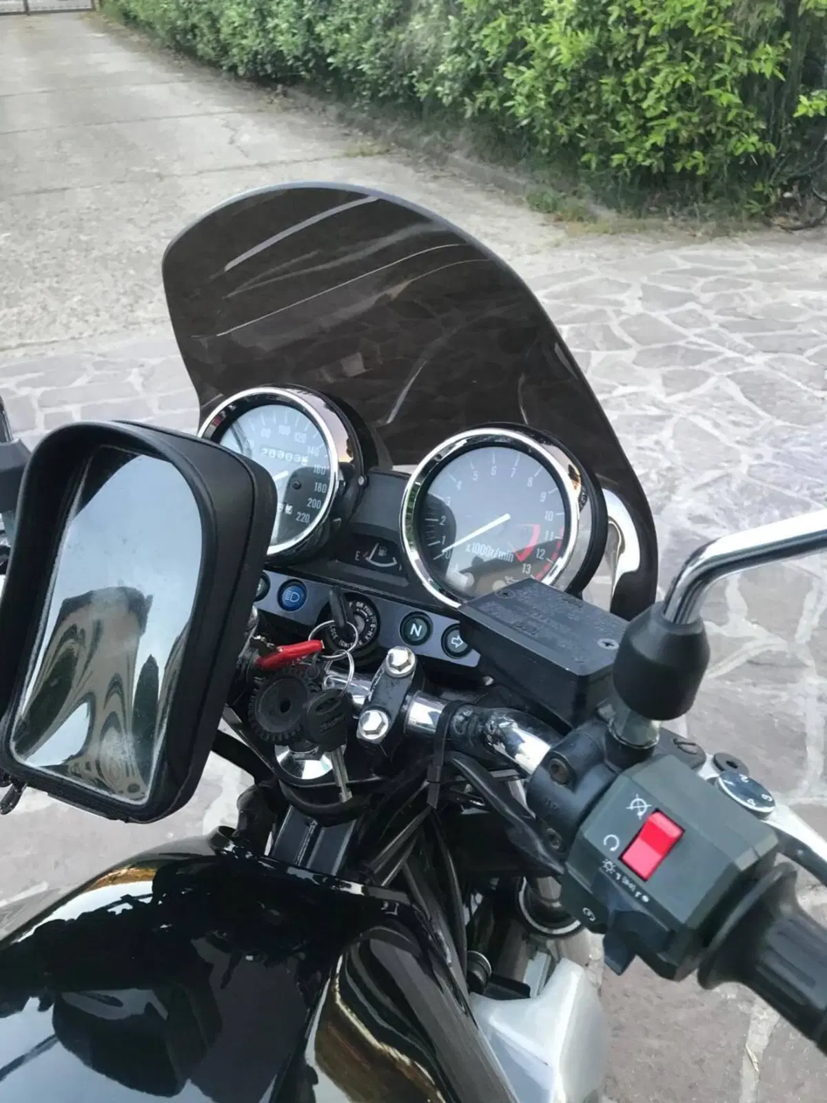 Kawasaki ER-5 500 (2001 - 06) (12)