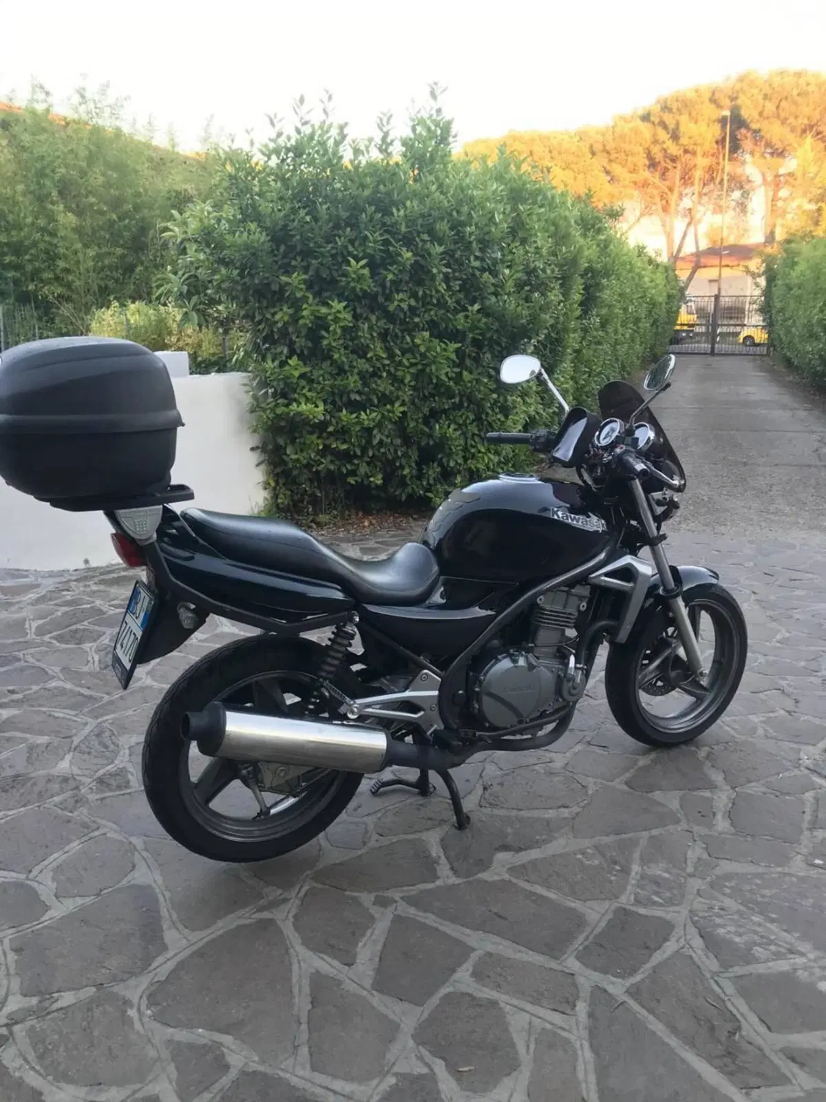 Kawasaki ER-5 500 (2001 - 06) (13)