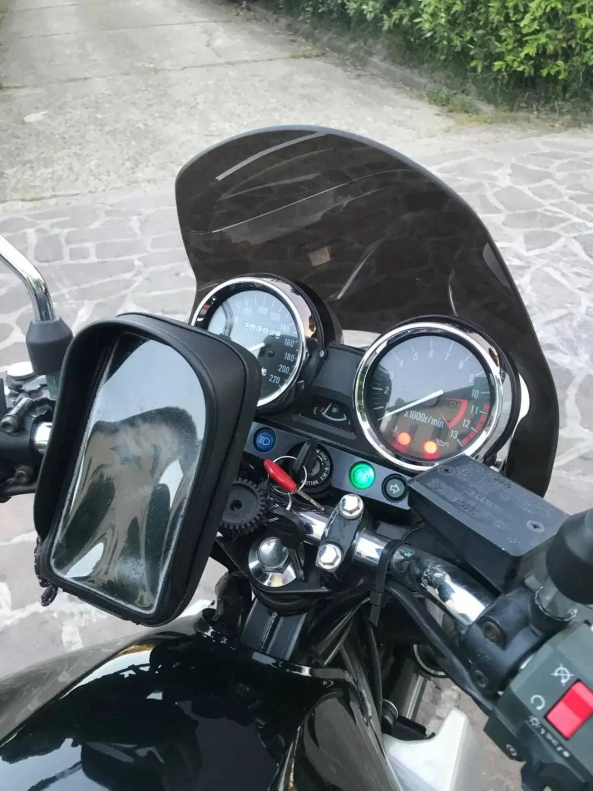 Kawasaki ER-5 500 (2001 - 06) (15)