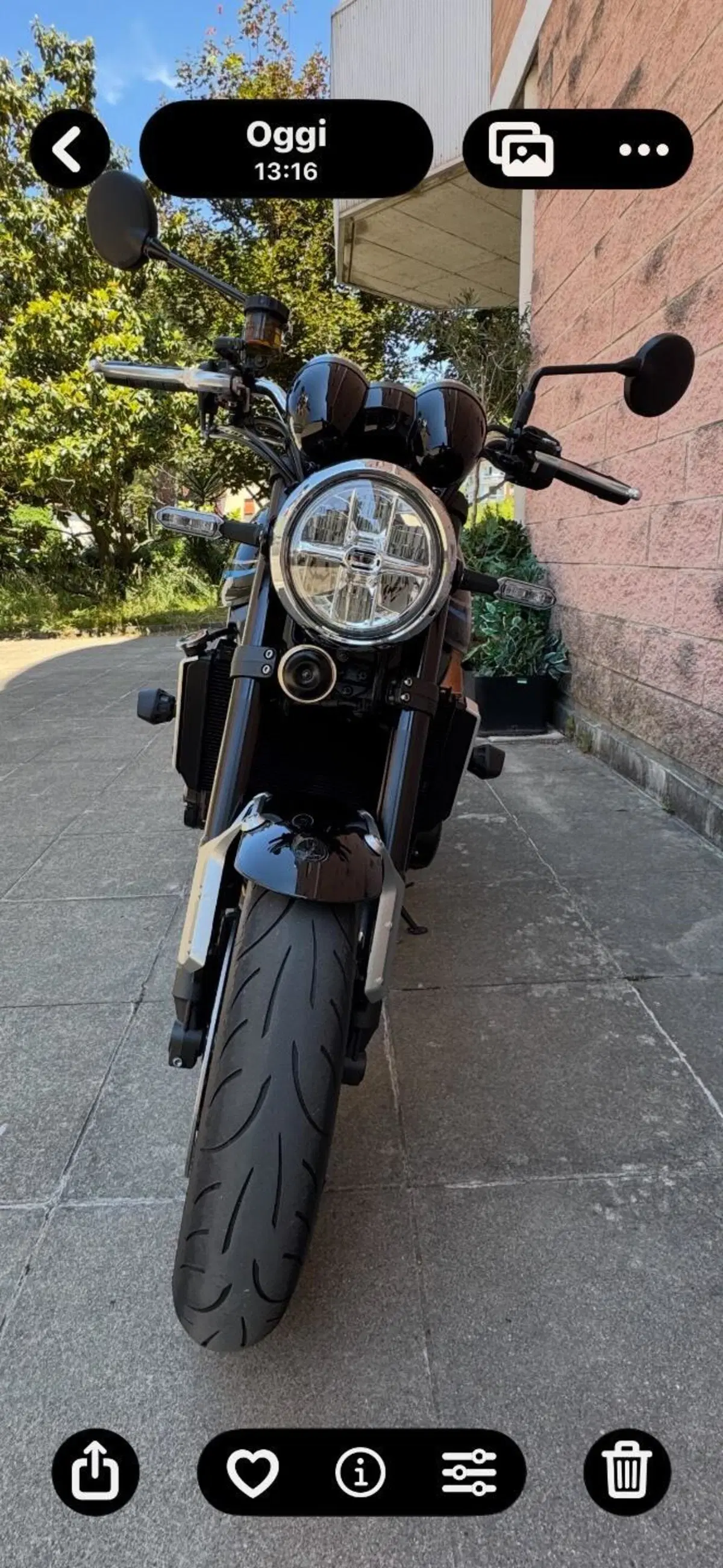 Kawasaki Z 900 RS (2022 - 25) (11)