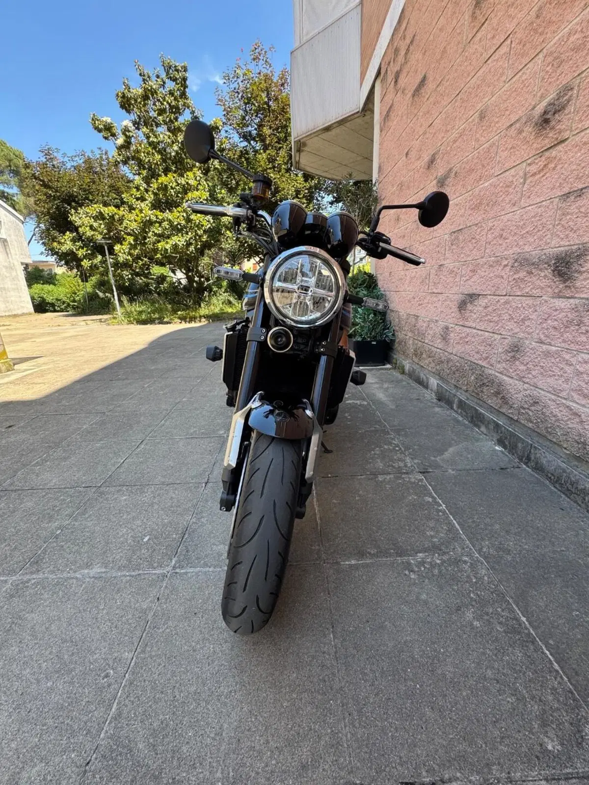 Kawasaki Z 900 RS (2022 - 25) (16)