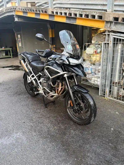 Triumph Tiger 1200 GT Pro (2022 - 23) usata