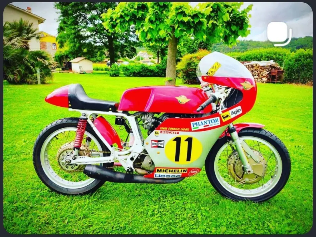 Ducati 450 corsa (4)