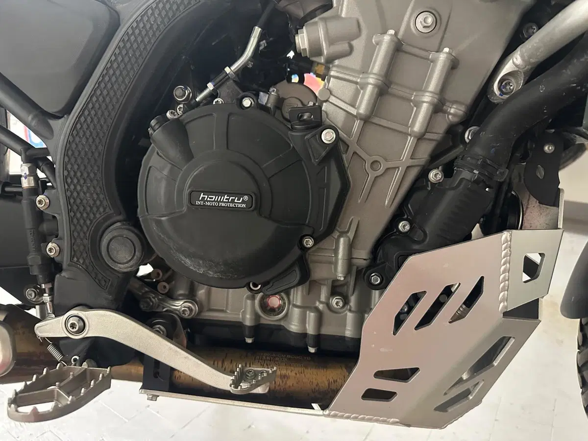 Kove 800X Pro (2024 - 25) (8)