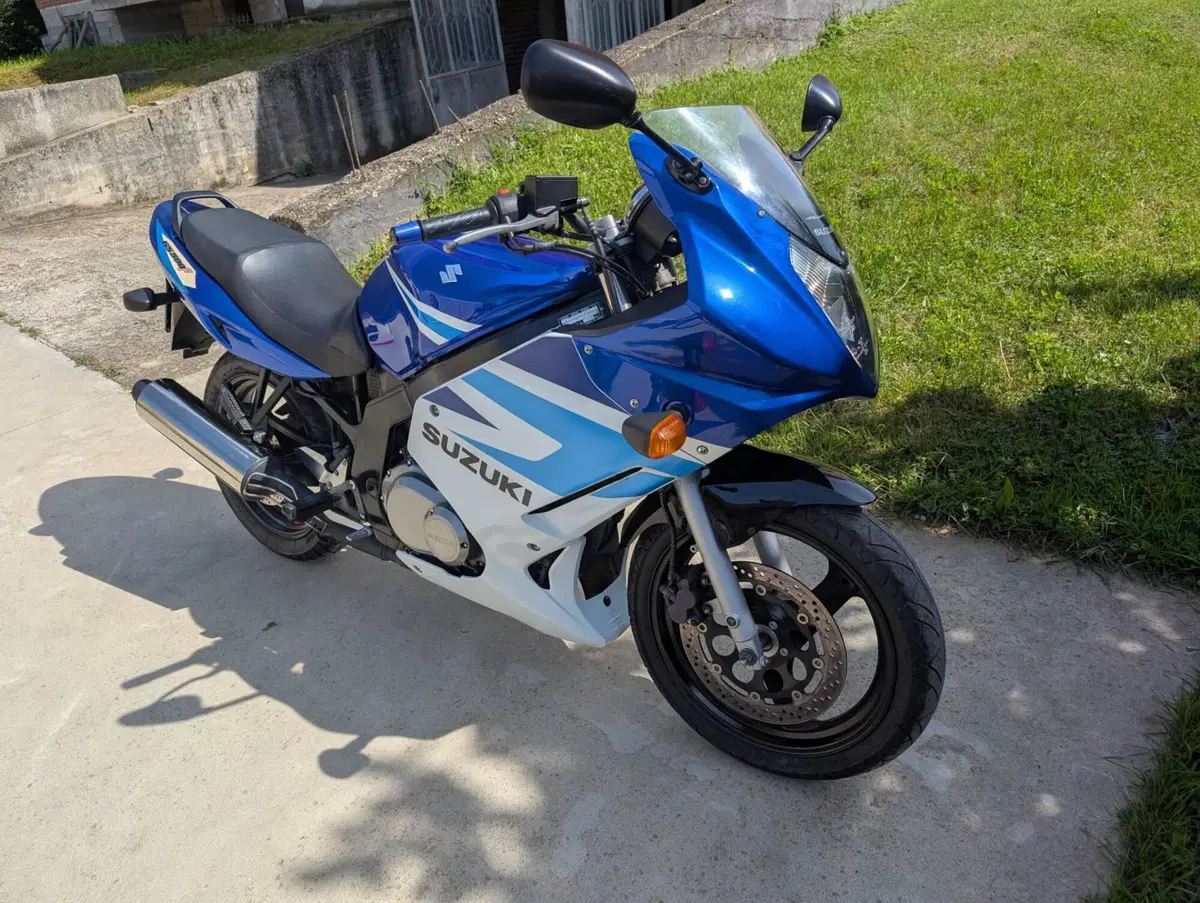 Suzuki GS 500 F (2004 - 06) (13)