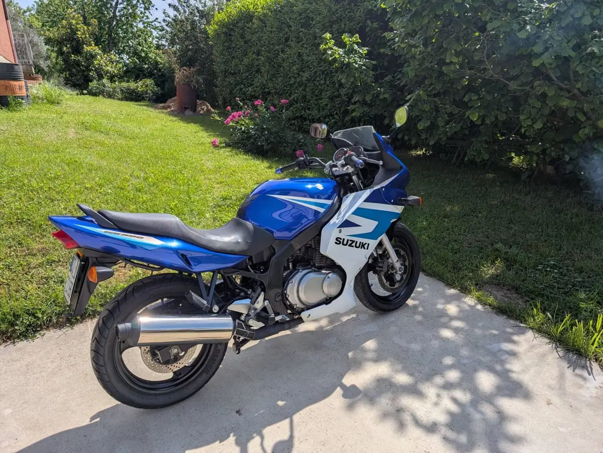 Suzuki GS 500 F (2004 - 06) (14)