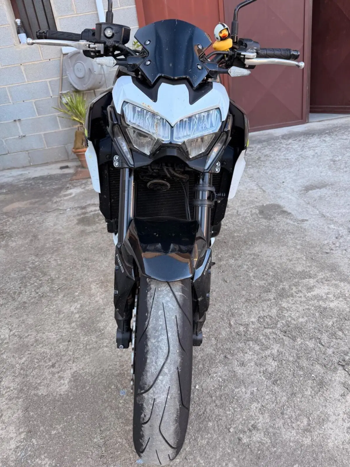 Kawasaki Z 900 (2020) (3)