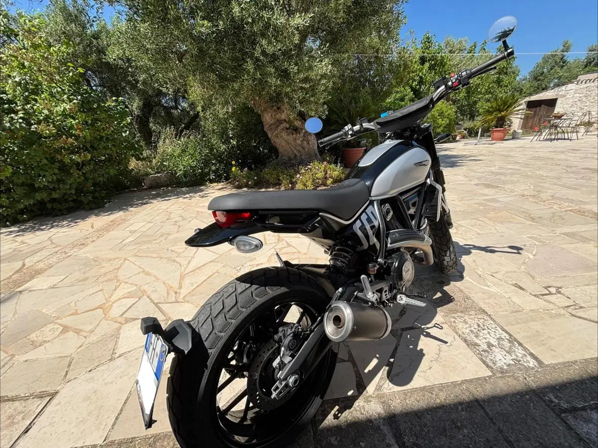 Ducati Scrambler 800 Icon (2023 - 24) (5)