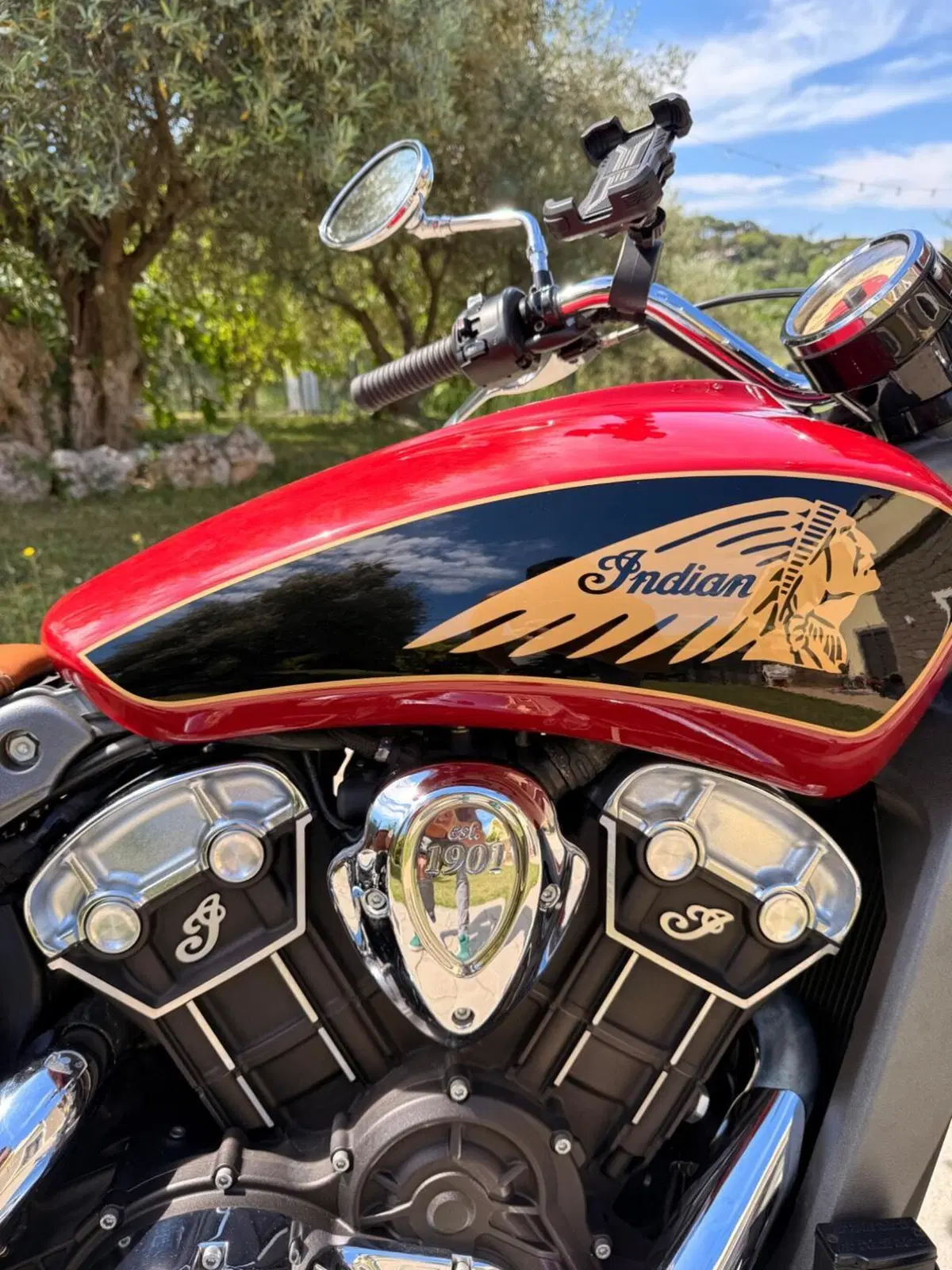 Indian Scout 1133 (2017 - 19) (5)