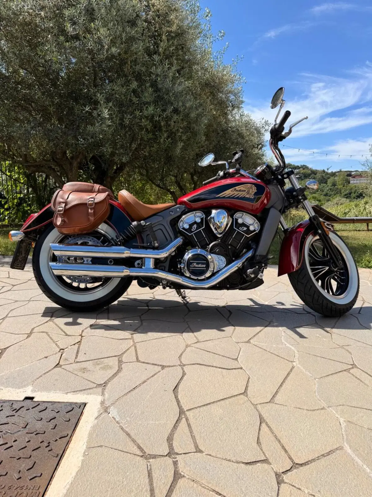 Indian Scout 1133 (2017 - 19) (9)