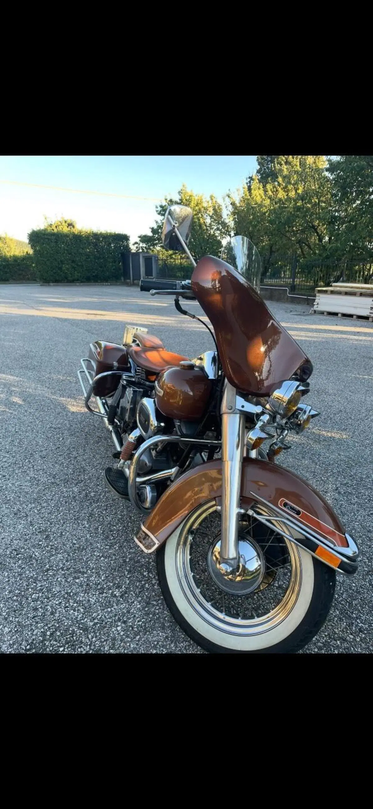 Harley-Davidson Electra glide flh (8)