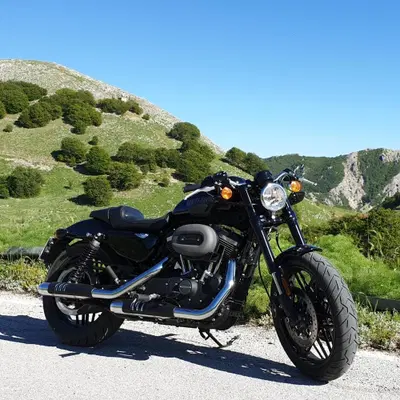 Harley-Davidson 1200 Roadster (2016 - 2017) - XL 1200R usata