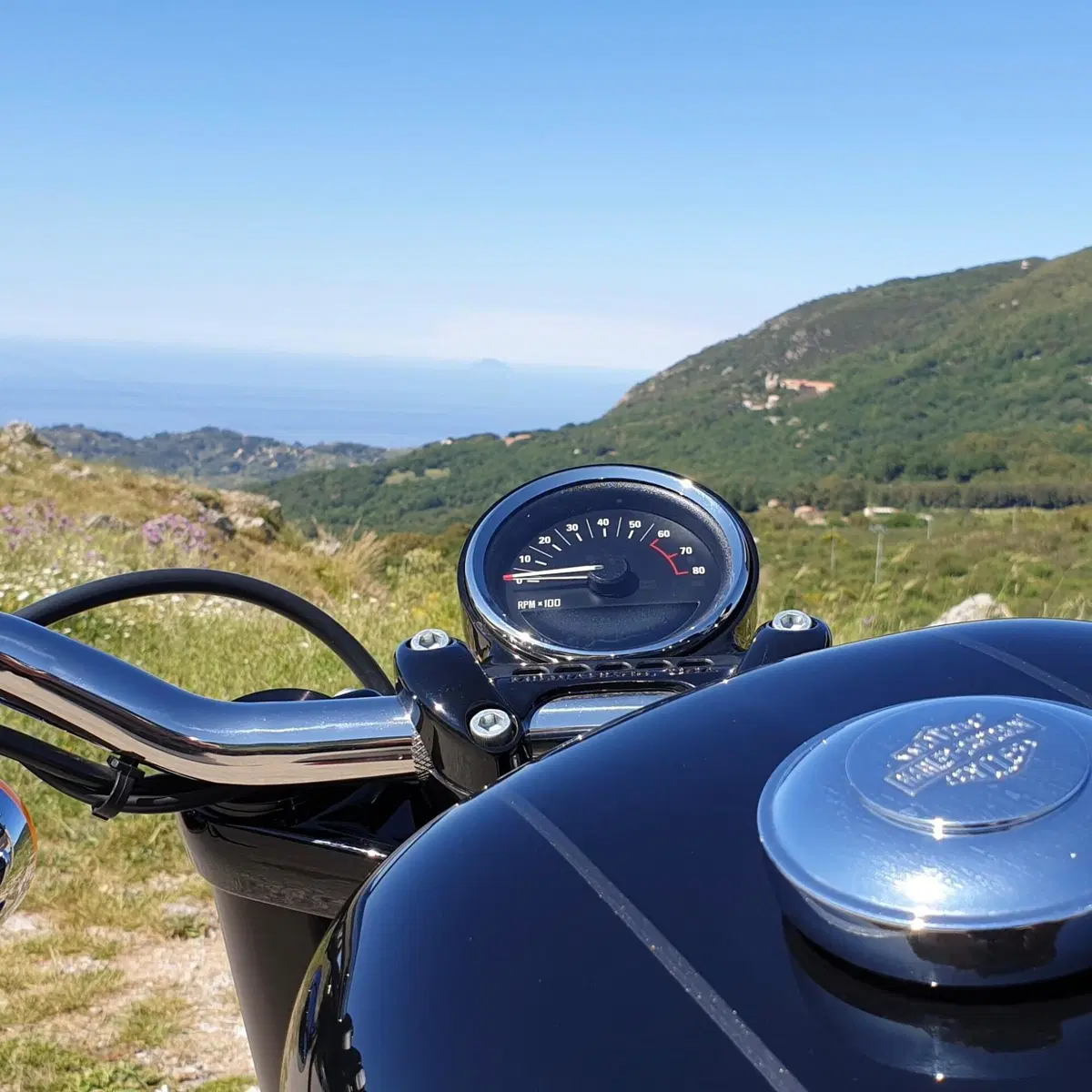 Harley-Davidson 1200 Roadster (2016 - 2017) - XL 1200R (2)