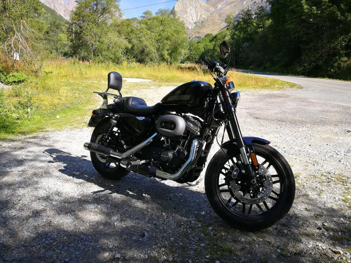 Harley-Davidson 1200 Roadster (2016 - 2017) - XL 1200R (4)