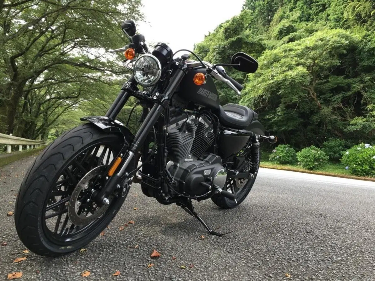 Harley-Davidson 1200 Roadster (2016 - 2017) - XL 1200R (5)