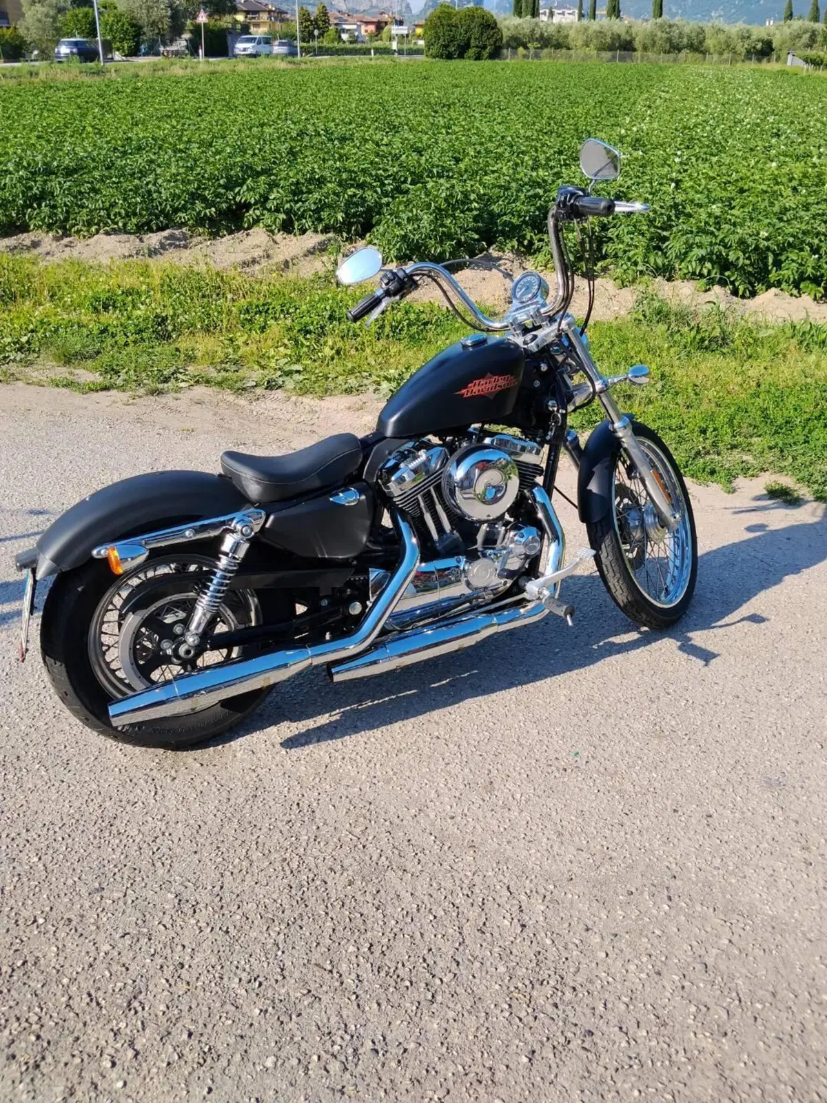 Harley-Davidson 1200 Custom (2007 - 13) - XL 1200C (2)