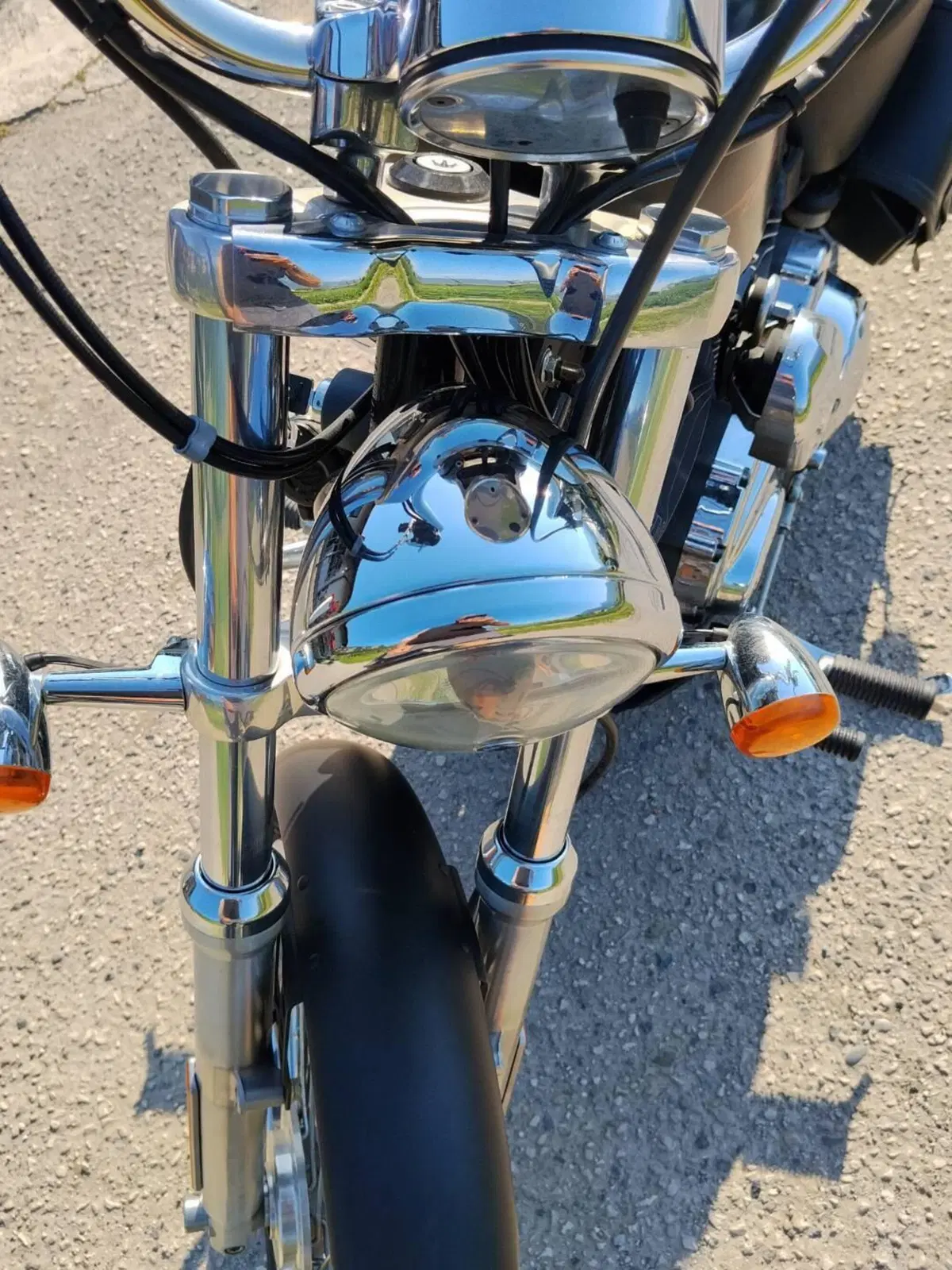 Harley-Davidson 1200 Custom (2007 - 13) - XL 1200C (5)