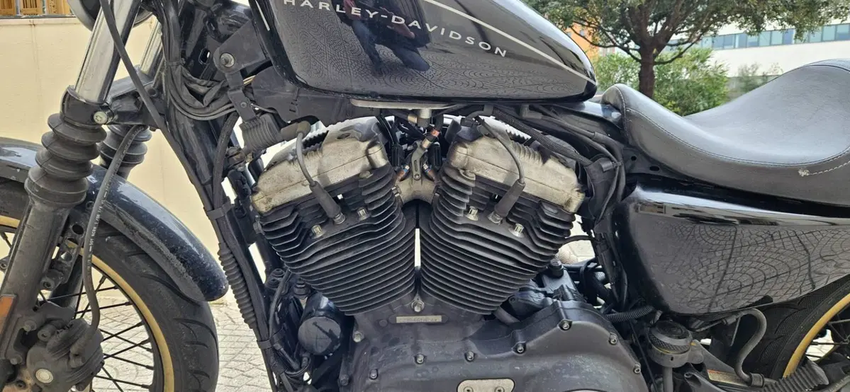 Harley-Davidson 1200 Roadster (2006 - 08) - XL 1200R (5)