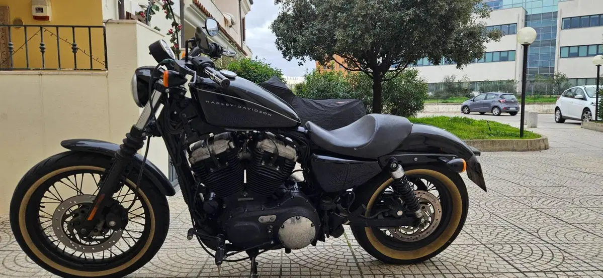 Harley-Davidson 1200 Roadster (2006 - 08) - XL 1200R (6)