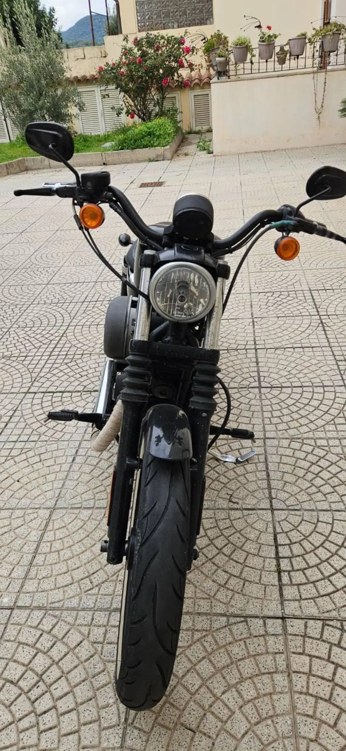 Harley-Davidson 1200 Roadster (2006 - 08) - XL 1200R (7)